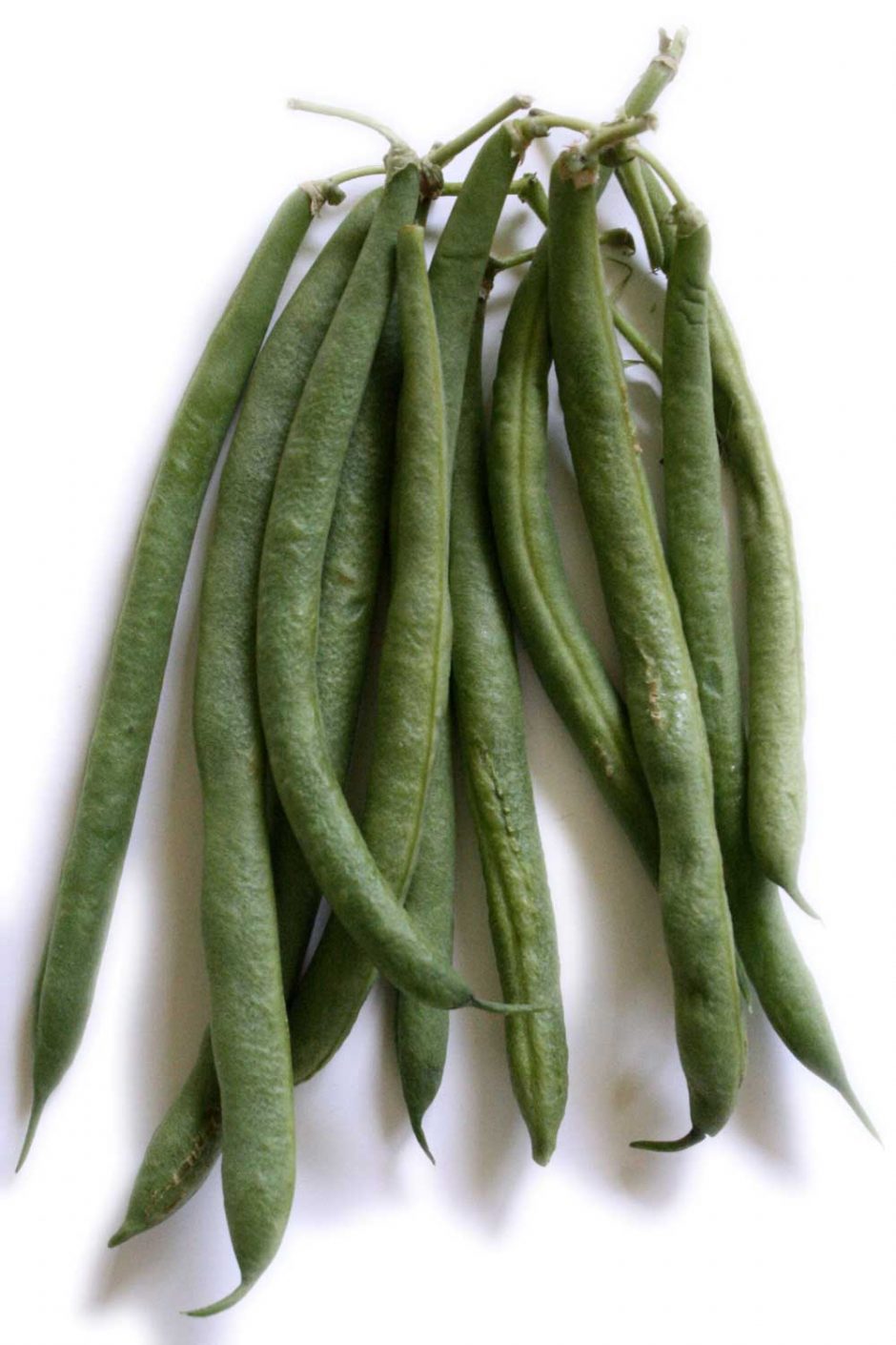 Grow delicious green beans in your own backyard
