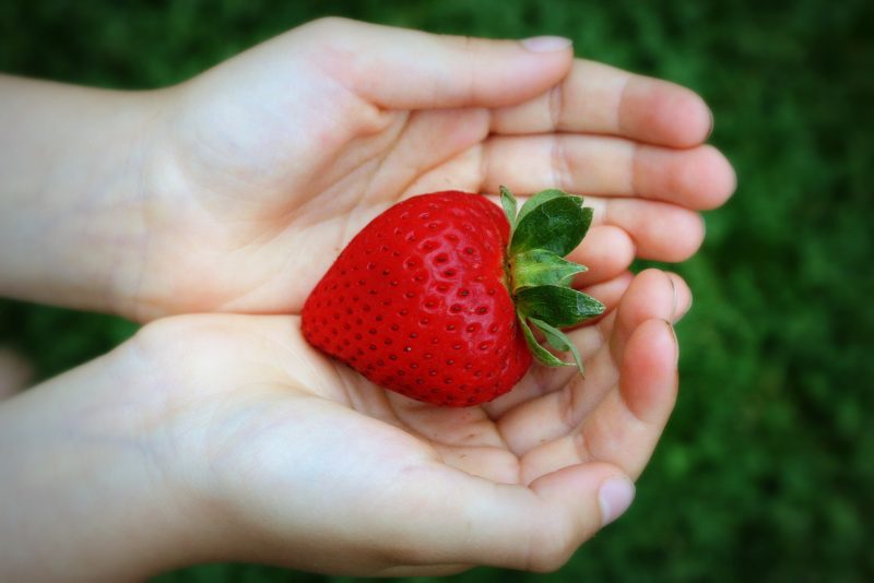 strawberry-hands