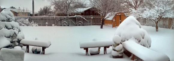 snowy-backyard