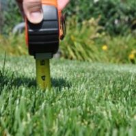 Grass Seed 101: Caring for Your Grass in Summer