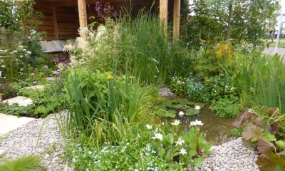 Backyard Ponds: A Do-It-Yourself Guide