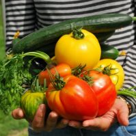 6 Popular Vegetables to Plant in a Mittleider Garden
