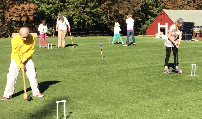 How to play croquet