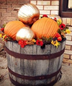 Pumpkins in whiskey barrel
