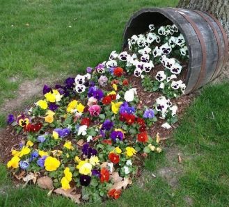 Whiskey barrel with flowers