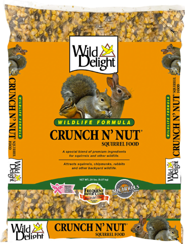 Your Basic Guide to Squirrel Food