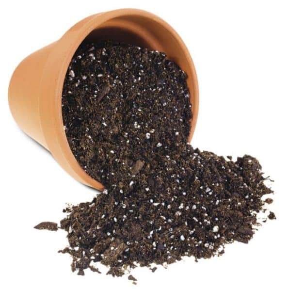 Aerated Soil in Pot