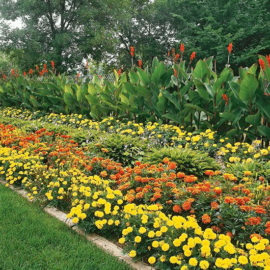 Combining Deer-Resistant Annuals and Perennials