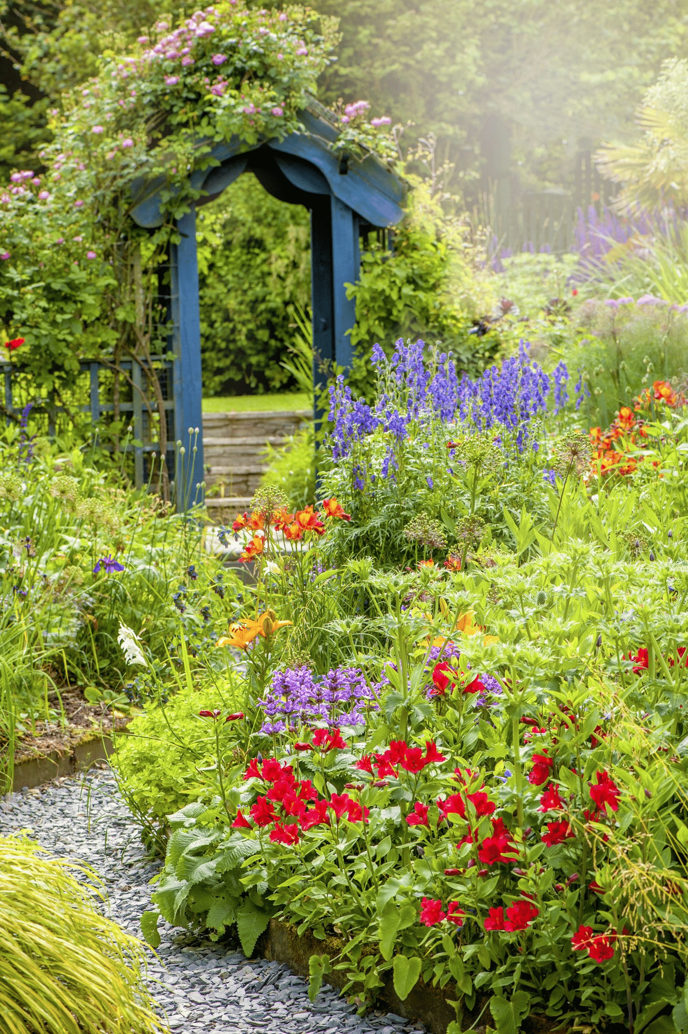 Deer-Resistant Annuals for Various Garden Themes