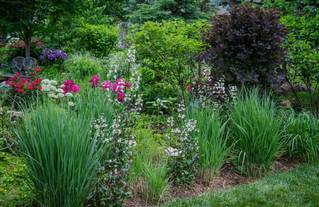 Enhancing Garden Design with Deer-Resistant Annuals