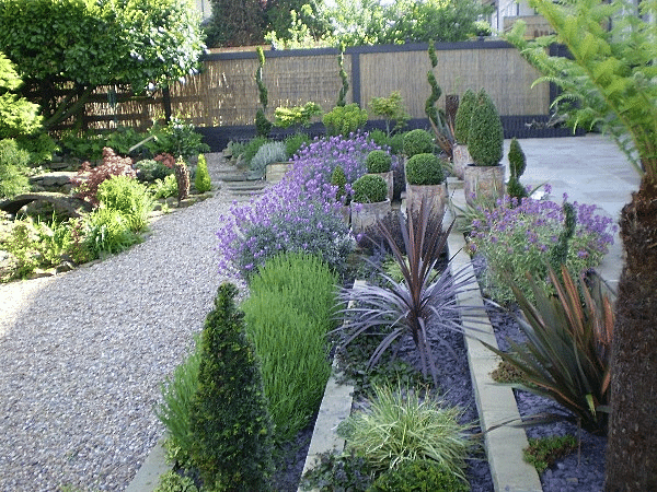 Contemporary gardens
