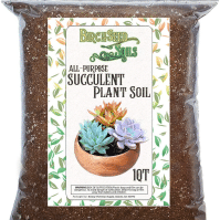 Succulent Plant Soil