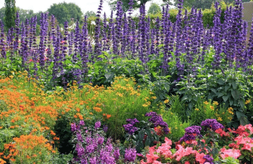 Bell shaped flowers blooming flower garden