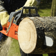 The Best 40cc Chainsaw of 2023 - Our Top Picks Revealed