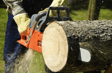 The Best 40cc Chainsaw