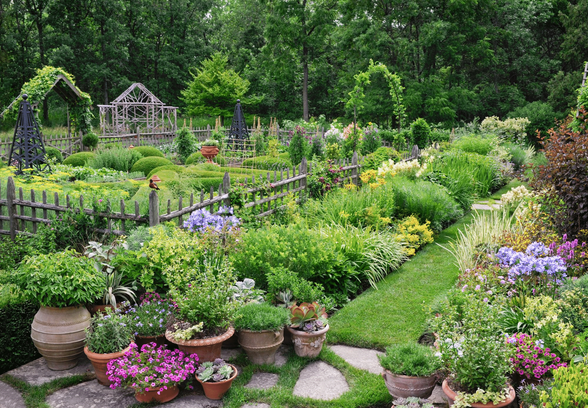 Backyard garden with variety of plants and flowers