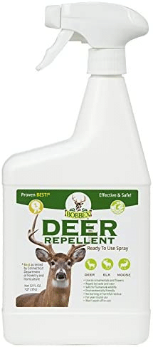 Hydrangea bush with deer repellent spray