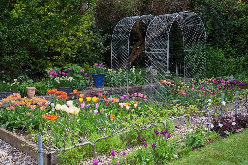 Bell shaped flowers in cottage style garden