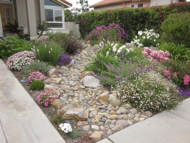 Drought tolerant flower garden with rocks