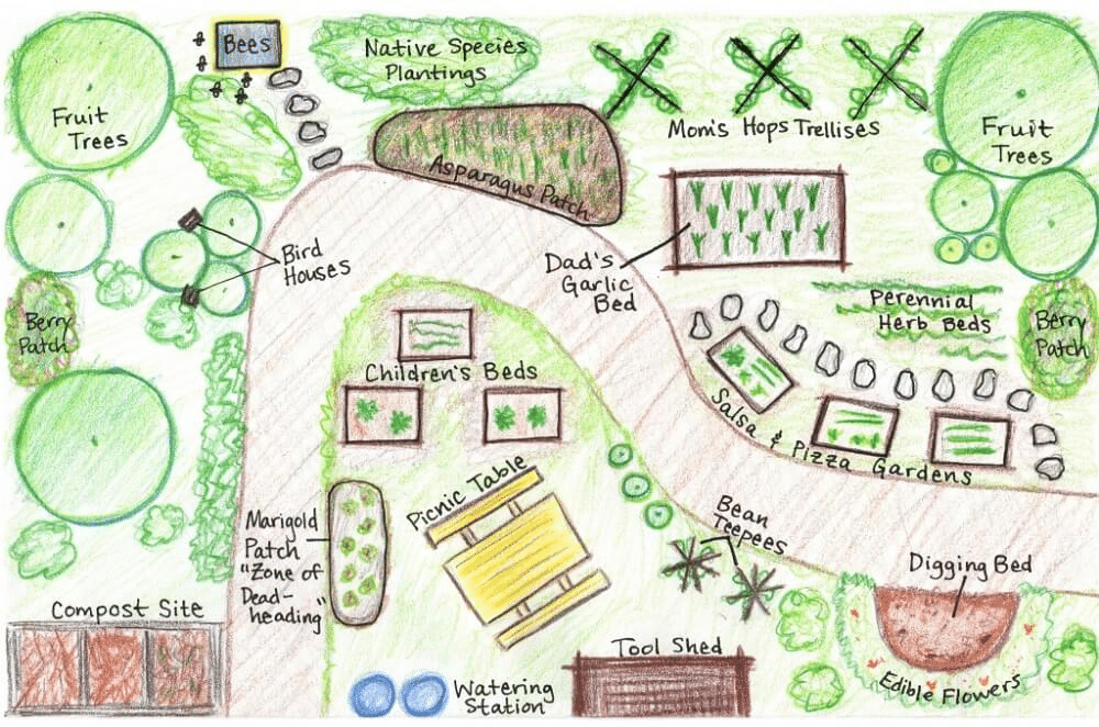 Drawing of an initial garden plan