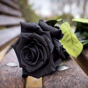 Black flowers symbolism